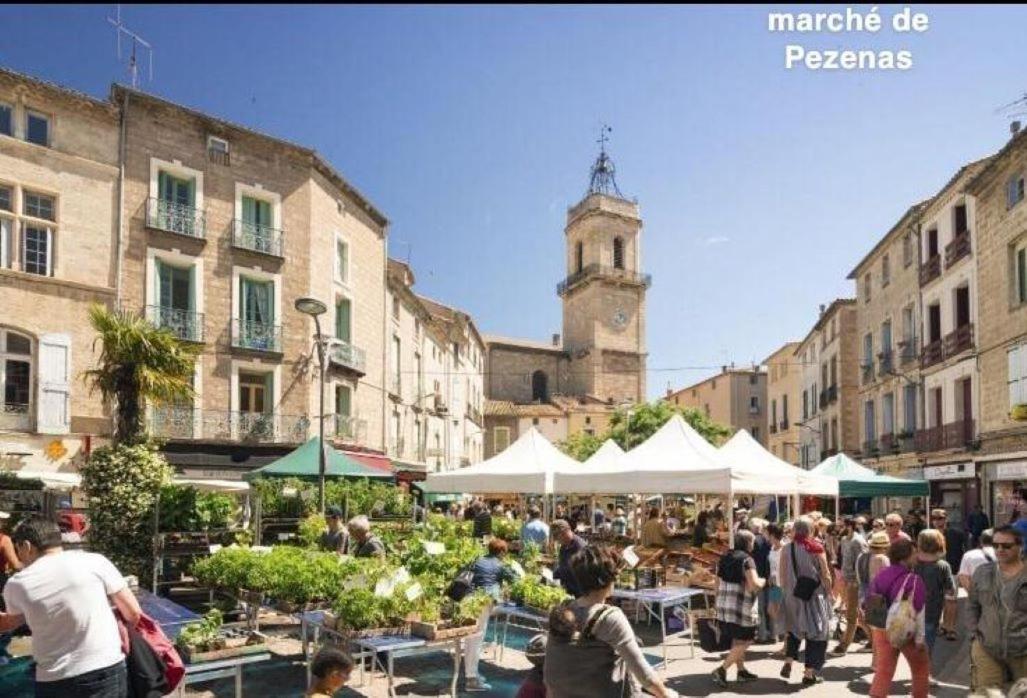 L'Authentique Apartment Pezenas Luaran gambar